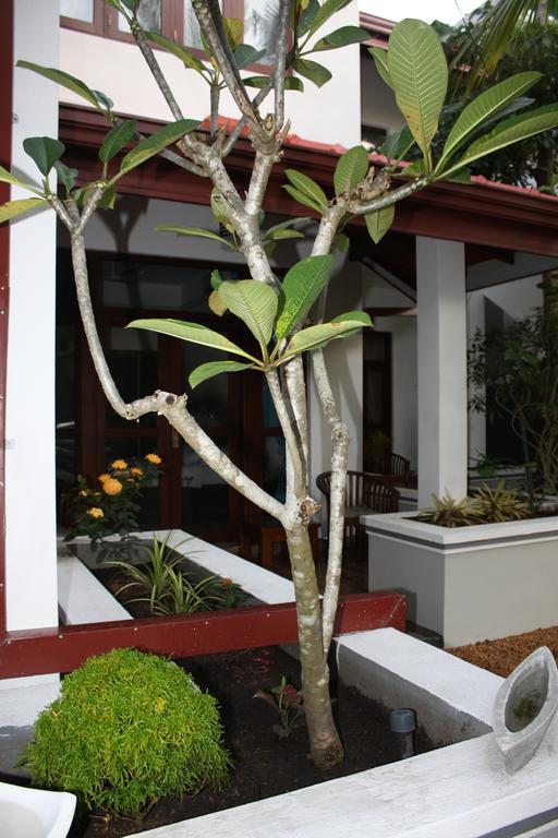 Hotel Aliya Lanka Beruwala Esterno foto